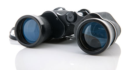 Produktrecherche Produktrecherche